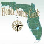 Florida Nature Guide Email
