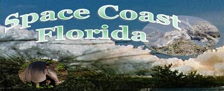 Space Coast Florida Link